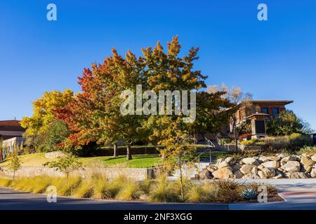 Soleggiata vista esterna del Centennial Museum of the University of Texas at El Paso at Texas Foto Stock