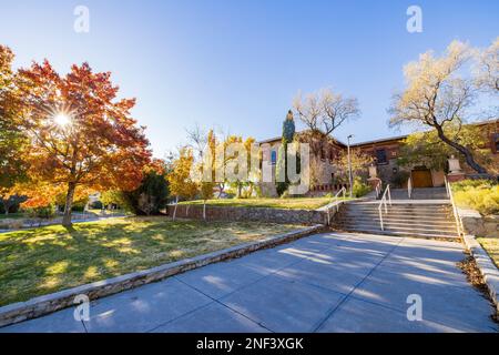 Soleggiata vista esterna del Centennial Museum of the University of Texas at El Paso at Texas Foto Stock