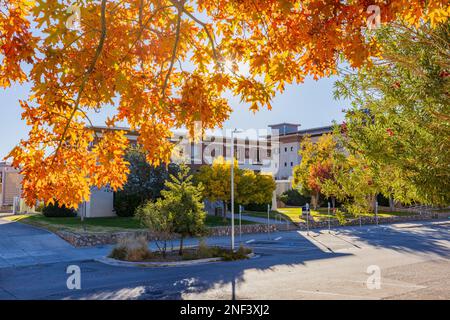 Soleggiata vista esterna del Centennial Museum of the University of Texas at El Paso at Texas Foto Stock