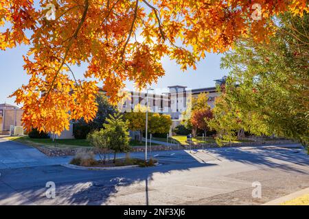 Soleggiata vista esterna del Centennial Museum of the University of Texas at El Paso at Texas Foto Stock