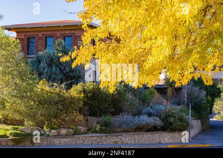 Soleggiata vista esterna del Centennial Museum of the University of Texas at El Paso at Texas Foto Stock