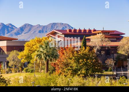 Soleggiata vista esterna del Centennial Museum of the University of Texas at El Paso at Texas Foto Stock