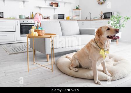 Carino cane Labrador con prua seduta sul letto per animali in cucina. Festa di Pasqua Foto Stock