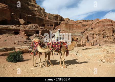 Beduinen mit Reitkamelen, verlassene Felsenstadt Petra, al-Batra, Hauptstadt des Reiches der Nabatäer, Jordanien, Unesco-Weltkulturerbe / Bedouin wi Foto Stock