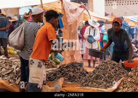 Mandoto, Madagascar - Novembre 9. 2022 - l'uomo malgascio compra pesce secco in un mercato di strada. La pesca è uno dei mezzi di sussistenza in Madagascar. Foto Stock