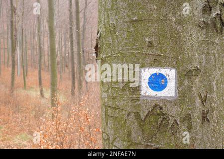 Indicatore di sentiero escursionistico su un albero nelle colline di Koszeg, Vas County, Ungheria Foto Stock