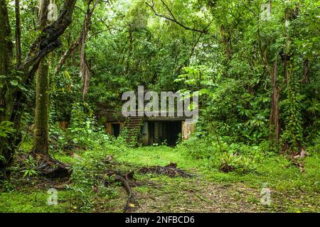 Rovine del tosaerba a batteria, una batteria di artiglieria costiera degli Stati Uniti costruita per difendere l'ingresso Atlantico al canale di Panama. Costruito tra il 1912-1916 e ospitato Foto Stock