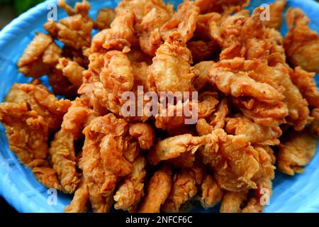 Cibo di farina di pesce fritto, che viene servita in Una ciotola di plastica Briu, nel villaggio di acqua conciata durante il giorno Foto Stock