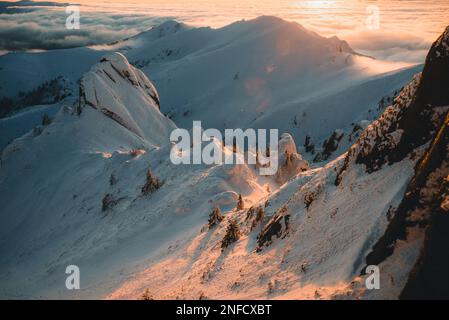 Montagne CIUCAS in inverno, Carpazi rumeni. Foto Stock