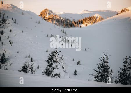 Montagne CIUCAS in inverno, Carpazi rumeni. Foto Stock