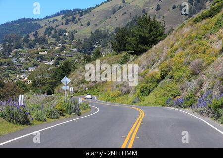 California - strada statale nella contea di Marin. Pacific Coast Highway. Parte conosciuta come Shoreline Highway. Foto Stock