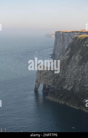 Staple Newk Rock at Bempton Cliffs - RSPB - White Cliffs and North Sea in A Sunny Day - Seabird Colony - Land and Sea - Yorkshire - UK Foto Stock