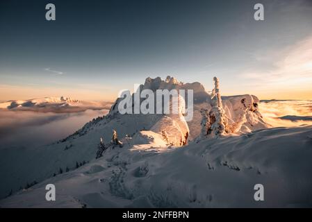 Montagne CIUCAS in inverno, Carpazi rumeni. Foto Stock