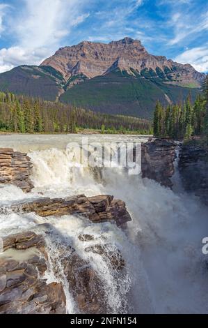 Cascate di Athabasca e fiume athabasca, parco nazionale di Jasper, Canada. Foto Stock