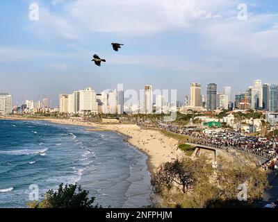 I corvi che volano sopra la spiaggia e il mare con la folla sulla strada dietro di esso e gli edifici di Tel Aviv sullo sfondo Foto Stock