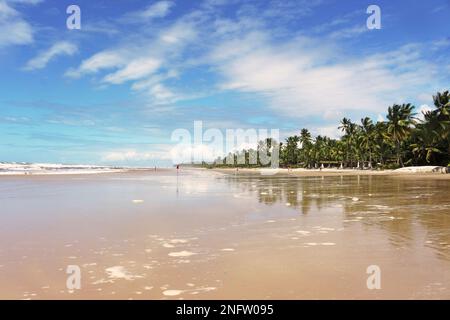 La bella spiaggia di Itacarezinho nel comune di Itacaré, a sud dello stato di Bahia, nel nord-est del Brasile. Foto Stock