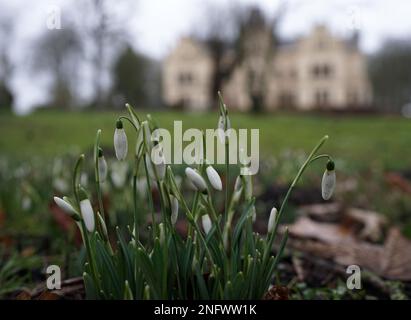 Gocce di neve in un giardino del castello in stile inglese Foto Stock