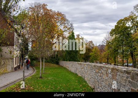 Sentiero pedonale lungo il muro di pietra con un ciclista solitario. Gli alberi sono ricoperti di fogliame giallo autunnale. Foto Stock