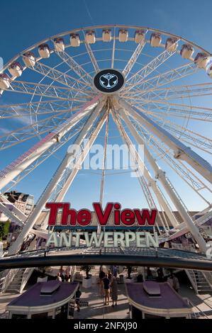 Ruota panoramica gigante "The View" vicino al fiume Scheldt ad Anversa (Fiandre), Belgio Foto Stock