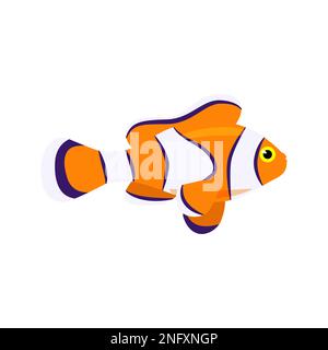 Pesce marino arancione decorativo con strisce bianche. Pesci marini vettoriali isolati su sfondo bianco. Illustrazione Vettoriale