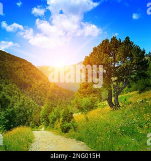 Magnifica alba in belle montagne coperte di foresta. Foto Stock