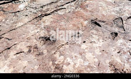 Disegni rocciosi di petroglifi di animali di gente antica e un'astronave sconosciuta sulle pietre nelle montagne di Altai in Siberia. Foto Stock