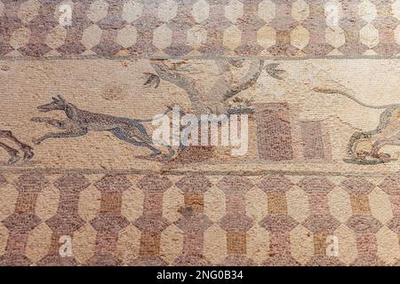 Scena di caccia mosaico in Casa di Dionysos villa romana a Paphos Parco Archeologico a Paphos città, isola di Cipro paese Foto Stock