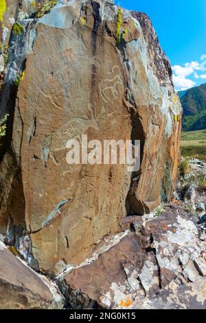 Incisioni rupestri disegni di antichi animali su pietre con muschio dietro il panorama dei monti Altai. Foto Stock