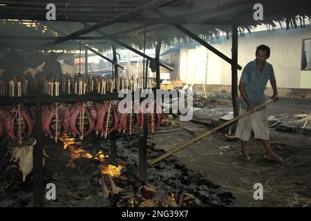 Un lavoratore sta mantenendo la distribuzione di buccia di cocco che brucia che è usato come combustibile per fumare le carni di tonno di skipjack ad un'industria domestica in Bitung, Sulawesi del nord, Indonesia. Secondo la FAO nel loro ultimo rapporto (2022), l'Indonesia è il terzo produttore mondiale di animali acquatici per la pesca e l'acquacoltura. Cinque paesi (Cina, India, Indonesia, Vietnam e Perù) sono responsabili di circa il 58% della produzione mondiale. Secondo la relazione, l'Indonesia è anche uno dei paesi in cui gli alimenti acquatici contribuiscono per la metà o più all'assunzione totale di proteine animali. Foto Stock