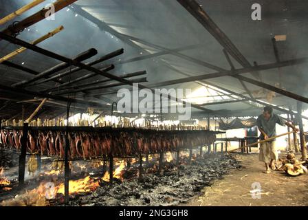 Un lavoratore sta mantenendo la distribuzione di buccia di cocco che brucia che è usato come combustibile per fumare le carni di tonno di skipjack ad un'industria domestica in Bitung, Sulawesi del nord, Indonesia. Secondo la FAO nel loro ultimo rapporto (2022), l'Indonesia è il terzo produttore mondiale di animali acquatici per la pesca e l'acquacoltura. Cinque paesi (Cina, India, Indonesia, Vietnam e Perù) sono responsabili di circa il 58% della produzione mondiale. Secondo la relazione, l'Indonesia è anche uno dei paesi in cui gli alimenti acquatici contribuiscono per la metà o più all'assunzione totale di proteine animali. Foto Stock