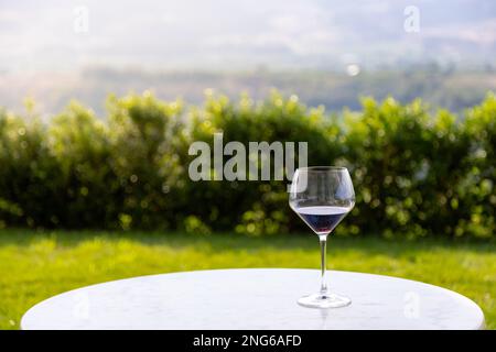 Splendida vista sull'azienda vinicola, bicchiere di vino, patio, degustazione di vini, azienda vinicola Okanagan. Foto Stock