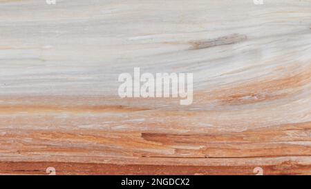 La bellezza del grano naturale del legno: Dettaglio di salice diviso Foto Stock
