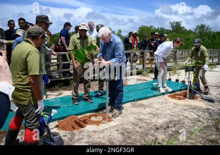 Kuching, Malesia. 18th Feb, 2023. Il presidente tedesco Frank-Walter Steinmeier (m, r) e sua moglie Elke Büdenbender (2nd da destra) piantano due alberi di mangrovie nel Parco Nazionale delle paludi di Kuching. Il presidente federale Steinmeier e sua moglie visitano i paesi della Cambogia e della Malesia durante un viaggio di cinque giorni nel sud-est asiatico. Credit: Bernd von Jutrczenka/dpa/Alamy Live News Foto Stock