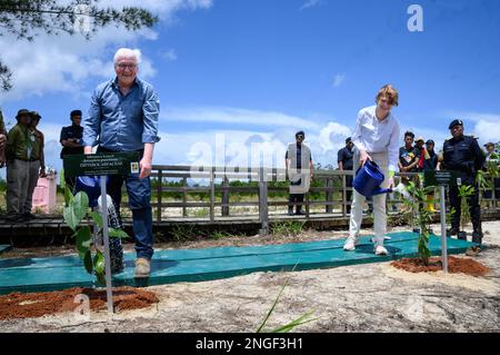 Kuching, Malesia. 18th Feb, 2023. Il presidente tedesco Frank-Walter Steinmeier (l-r) e sua moglie Elke Büdenbender piantano due alberi di mangrovie nel Parco Nazionale delle paludi di Kuching. Il presidente Steinmeier e sua moglie visitano i paesi della Cambogia e della Malesia durante una gita di cinque giorni nel sud-est asiatico. Credit: Bernd von Jutrczenka/dpa/Alamy Live News Foto Stock