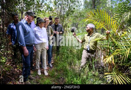 Kuching, Malesia. 18th Feb, 2023. Il presidente tedesco Frank-Walter Steinmeier (l-r) e sua moglie Elke Büdenbender sono guidati attraverso una giungla nel Parco Nazionale delle paludi di Kuching. Il presidente federale Steinmeier e sua moglie visitano i paesi della Cambogia e della Malesia durante una gita di cinque giorni nel sud-est asiatico. Credit: Bernd von Jutrczenka/dpa/Alamy Live News Foto Stock