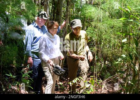 Kuching, Malesia. 18th Feb, 2023. Il presidente tedesco Frank-Walter Steinmeier (l-r) e sua moglie Elke Büdenbender sono guidati attraverso una giungla nel Parco Nazionale delle paludi di Kuching. Il presidente federale Steinmeier e sua moglie visitano i paesi della Cambogia e della Malesia durante una gita di cinque giorni nel sud-est asiatico. Credit: Bernd von Jutrczenka/dpa/Alamy Live News Foto Stock