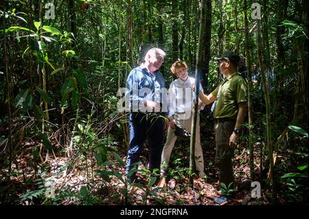 Kuching, Malesia. 18th Feb, 2023. Il presidente tedesco Frank-Walter Steinmeier (l-r) e sua moglie Elke Büdenbender sono guidati attraverso una giungla nel Parco Nazionale delle paludi di Kuching. Il presidente federale Steinmeier e sua moglie visitano i paesi della Cambogia e della Malesia durante una gita di cinque giorni nel sud-est asiatico. Credit: Bernd von Jutrczenka/dpa/Alamy Live News Foto Stock