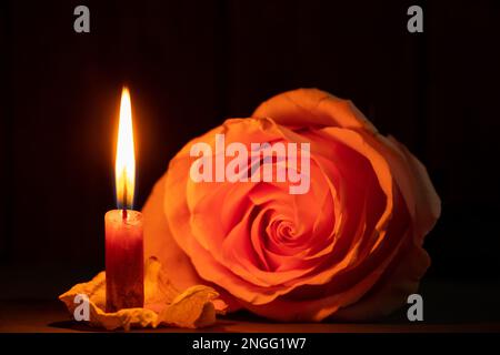 una fiamma di candela e accanto ad una rosa nel primo piano scuro Foto Stock