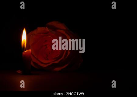 una fiamma di candela e accanto ad una rosa nel primo piano scuro Foto Stock