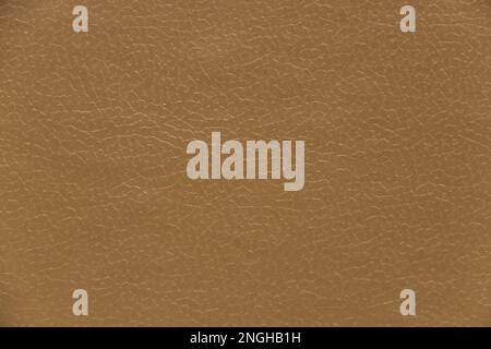 semplice colore beige libro tavolozza sfondo chiaro closeup Foto Stock