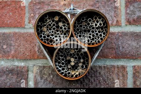 Un hotel di bug fai da te fatto da lattine di cibo surciclicate che si sono arrugginite durante il tempo, legato con corda appesa su una parete di mattoni rossi Foto Stock