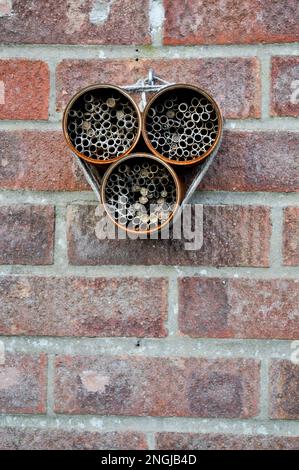 Un hotel di bug fai da te fatto da lattine di cibo surciclicate che si sono arrugginite durante il tempo, legato con corda appesa su una parete di mattoni rossi Foto Stock