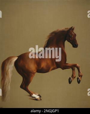 WhistleJacket di George Stubbs High Quality Image Foto Stock