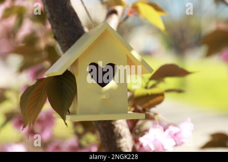 Bird house giallo con foro a forma di cuore appeso su ramo di albero all'aperto Foto Stock