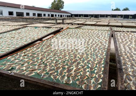 I pescatori di pesce secco post-pescato a Rach Gia City, Kien Giang, Vietnam Foto Stock