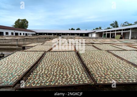 I pescatori di pesce secco post-pescato a Rach Gia City, Kien Giang, Vietnam Foto Stock