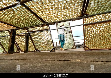 I pescatori di pesce secco post-pescato a Rach Gia City, Kien Giang, Vietnam Foto Stock