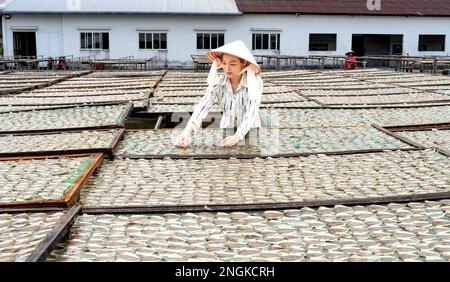 I pescatori di pesce secco post-pescato a Rach Gia City, Kien Giang, Vietnam Foto Stock