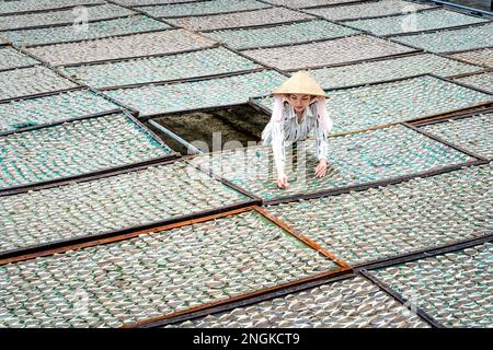 I pescatori di pesce secco post-pescato a Rach Gia City, Kien Giang, Vietnam Foto Stock