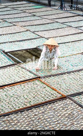 I pescatori di pesce secco post-pescato a Rach Gia City, Kien Giang, Vietnam Foto Stock